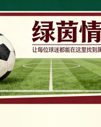 kaiyun-热刺罗马关注图卢兹左后卫梅塔利